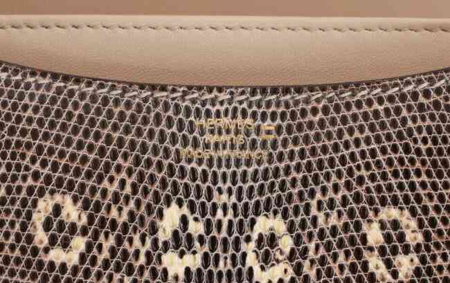 hermes-varanus-salvator-lizard-symbol