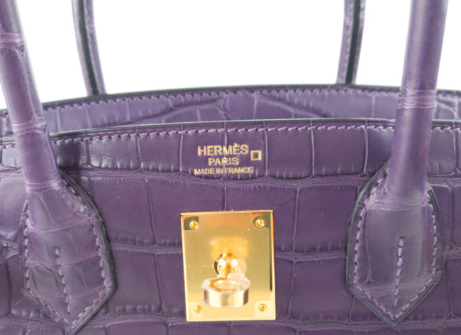 hermes-alligator-mississippiensis-symbol