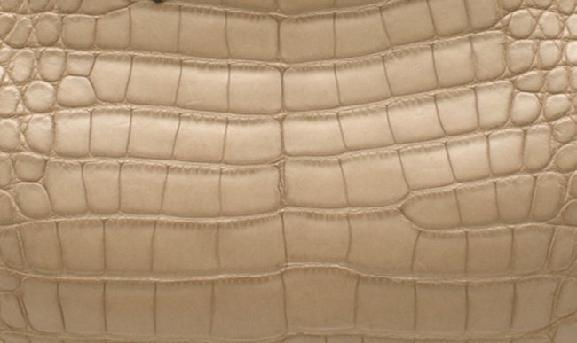 hermes-alligator-skin
