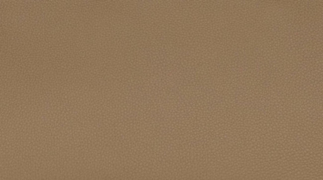 hermes-beige-marfa-color