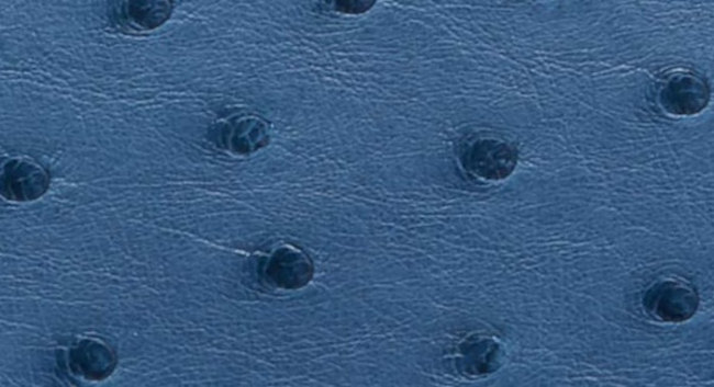 hermes-bleu-roi-color