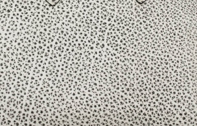 hermes-buffalo-dalmatien