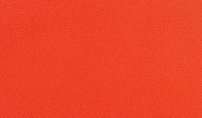 hermes-capucine-color