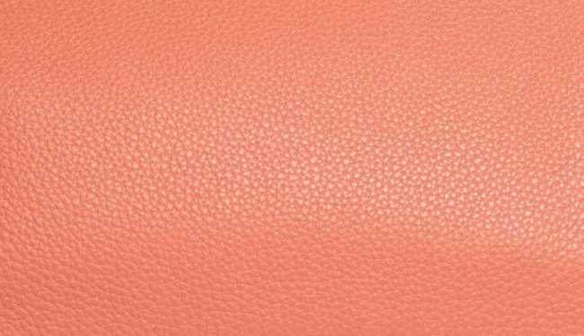 hermes-crevette-color