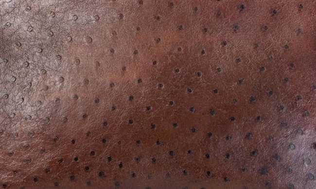 hermes-etrusque-color