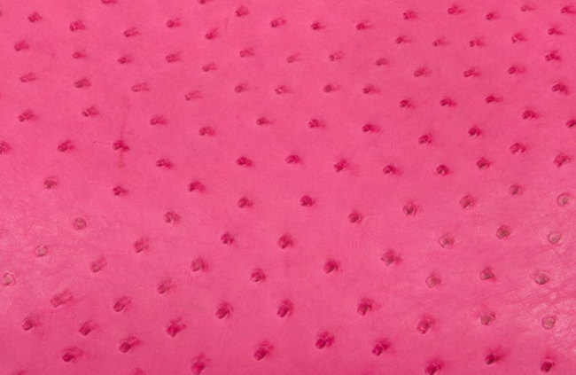 hermes-fuchsia-color