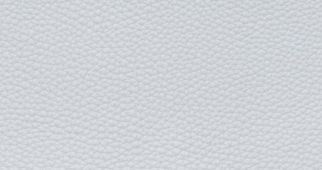 hermes-gris-pale-color