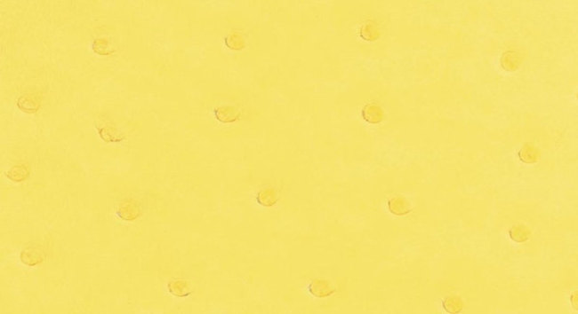 hermes-jaune-citron-color