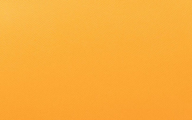 hermes-jaune-dor-color