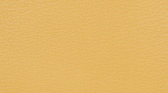 hermes-jaune-foin-color