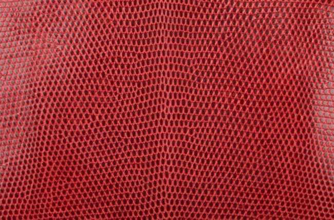 hermes-niloticus-lizard-skin