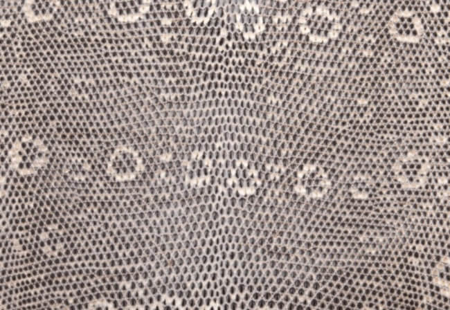 hermes-varanus-salvator-lizard-skin