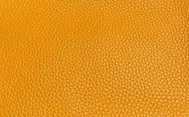 hermes-moutarde-color