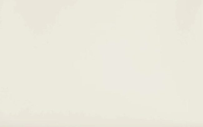 hermes-mushroom-color