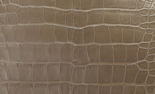 hermes-oregano-color