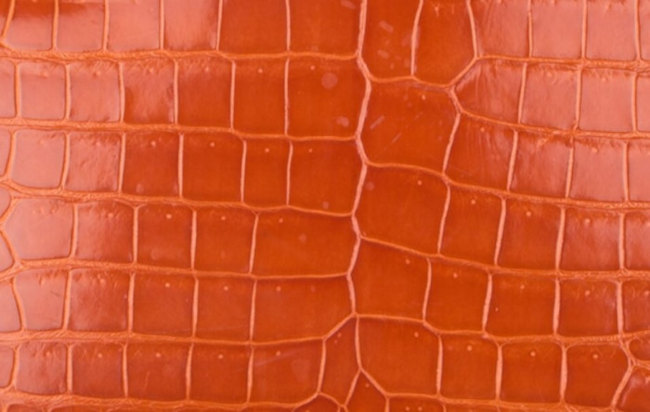 hermes-pain-de-epice-color