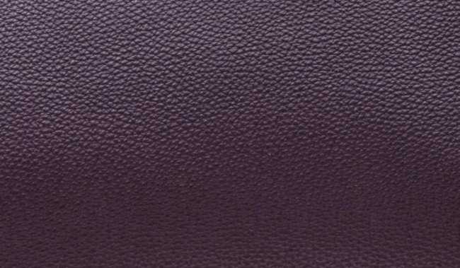 hermes-raisin-color