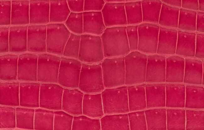 hermes-rose-tyrien-color