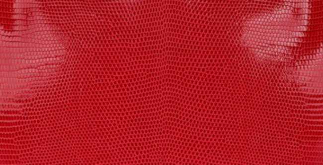 hermes-rouge-exotique-color