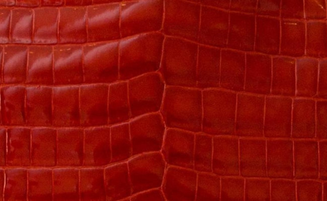 hermes-sanguine-color