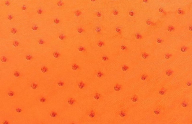 hermes-tangerine-color