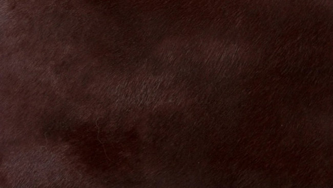 hermes-troika-leather