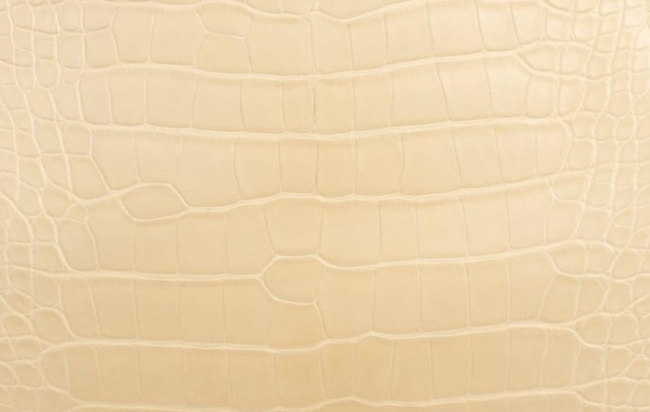 hermes-vanille-color