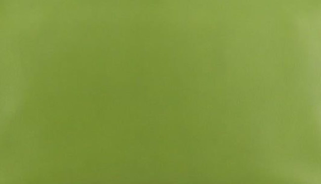 hermes-vert-anis-color