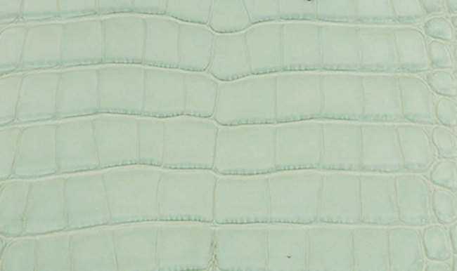 hermes-vert-d-eau-color