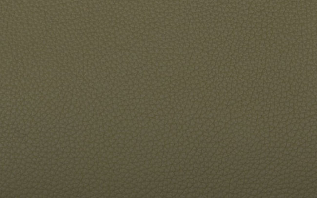 hermes-vert-veronese-color