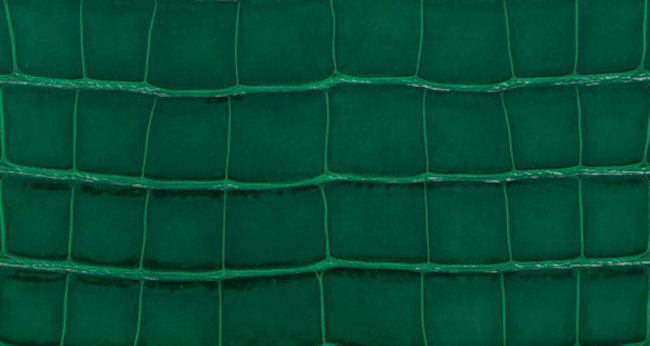 hermes-vert-emeraude-color