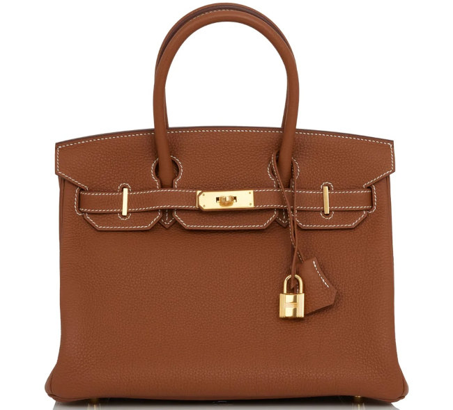 daily-use-birkin-bag