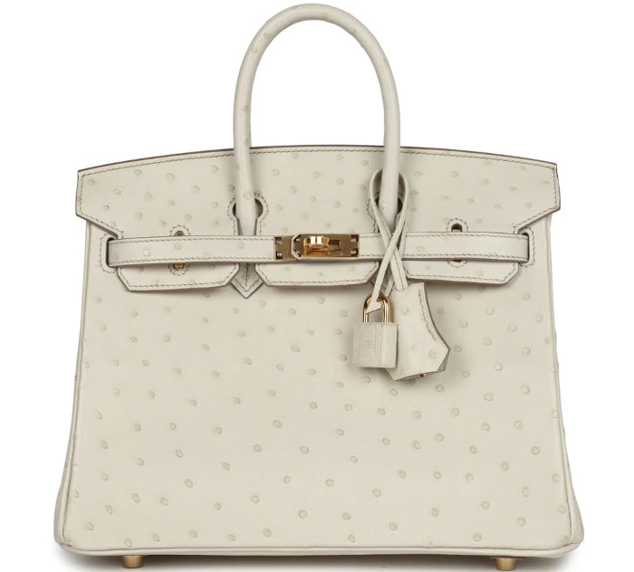 birkin-25-beton-ostrich-gold-hardware