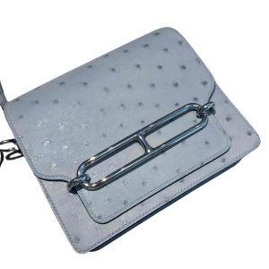 Hermès Roulis  Mini Blue Glacier 8U Ostrich 2020 Y
