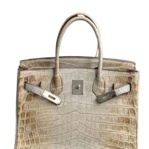 Hermès Birkin Himalaya 30 Niloticus Crocodile Matt 2010 N